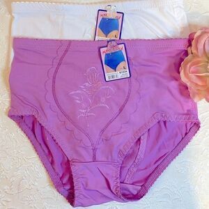 - 🥀Maria Rosa High waist Embroidered Underwear